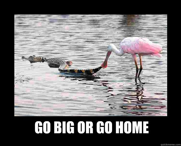 go-big-or-go-home