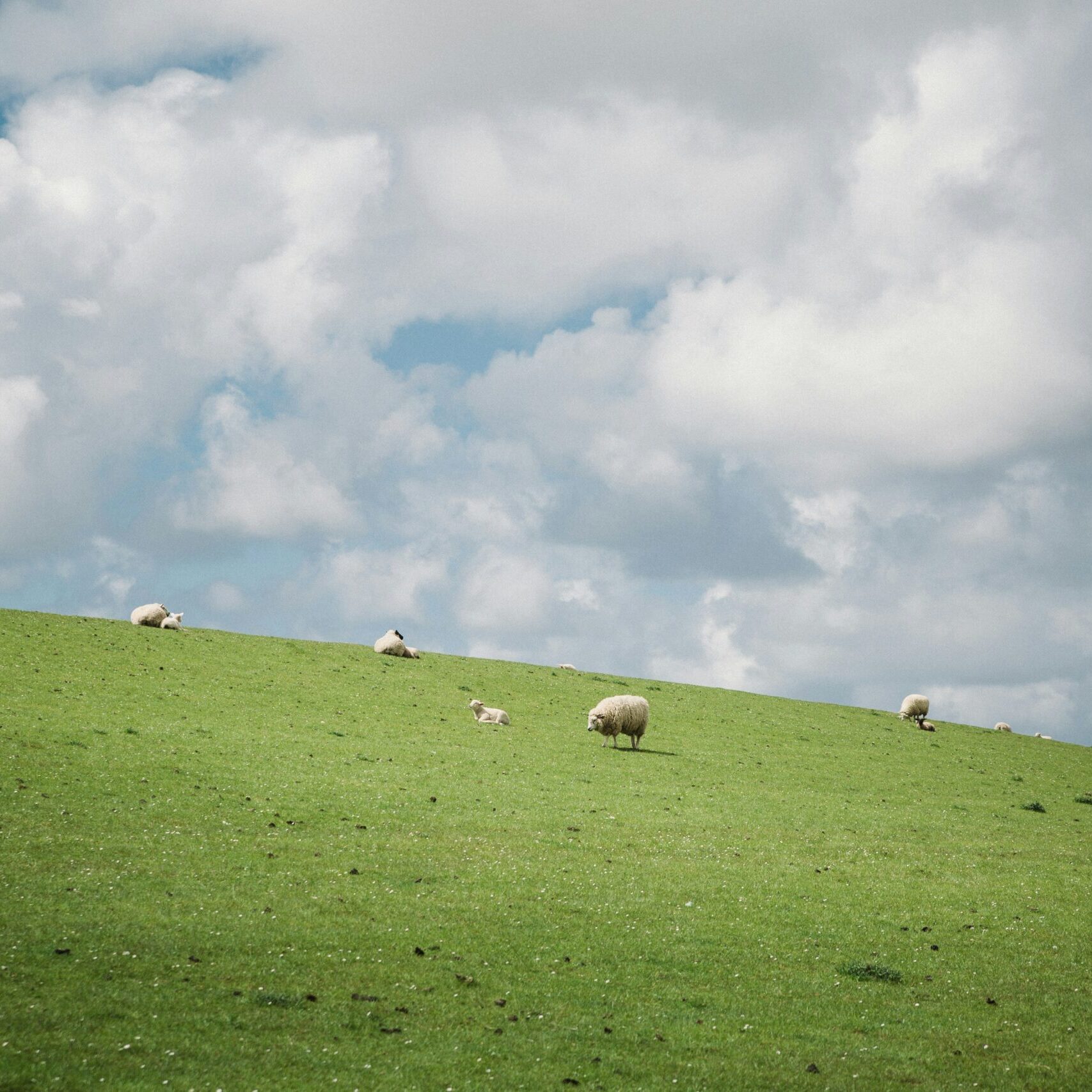 nine-koepfer-lZS_cOvmllk-unsplash